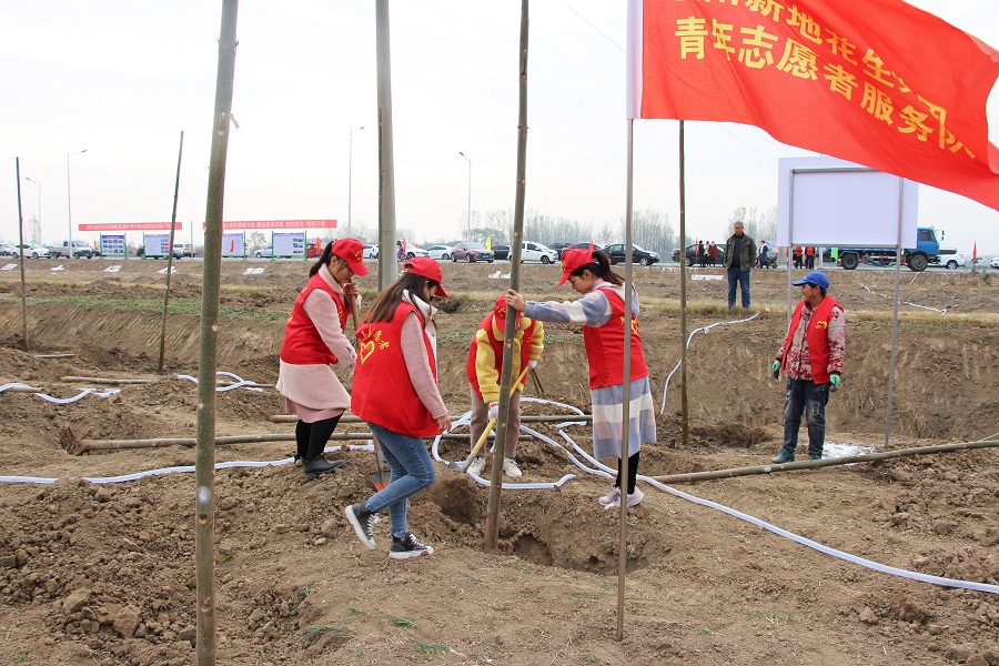正阳尊龙凯时花生集团志愿者冬季植树活动现场